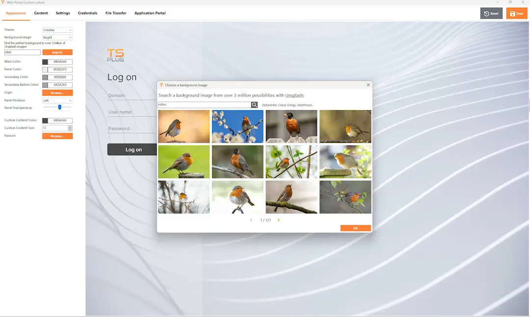 web-portal-customization